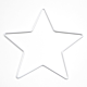 Valkoinen metallinen tähti Image 